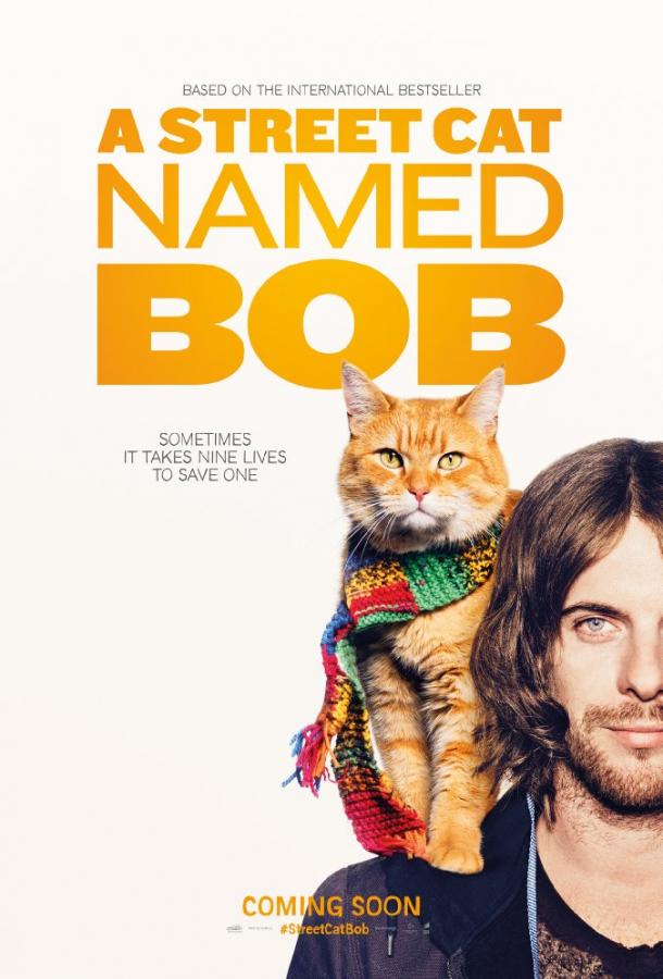 Фильм Уличный кот по кличке Боб (2016) смотреть онлайн бесплатно